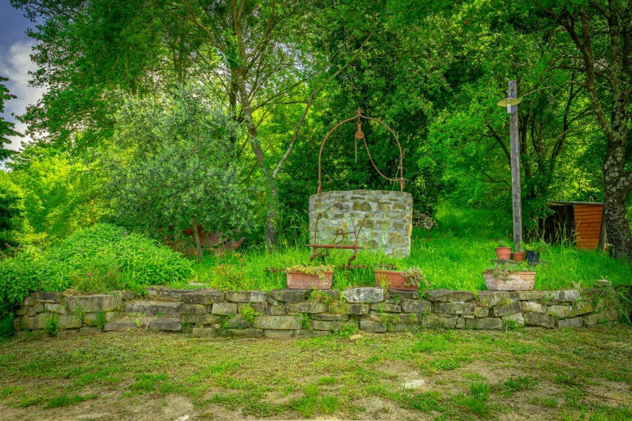 Casa Al Bosco Casa de hóspedes SantʼEllero Exterior foto